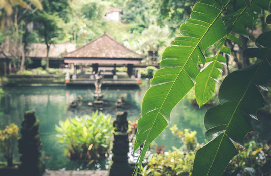 Bali, perfecto para todos los viajeros - Misswood