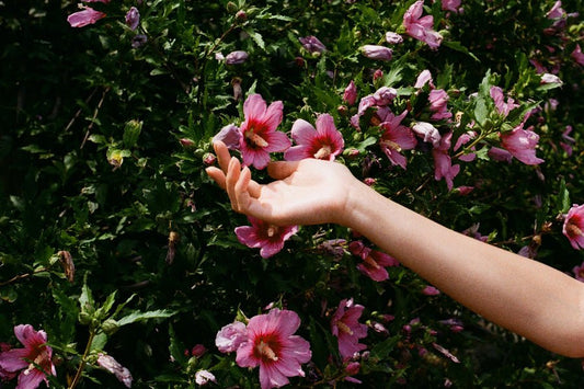 Nueva Campaña de recaudación contra el Cáncer de mama - Misswood